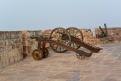 10-11-14 Forteresse de Meherangarh, Jodhpur (11)