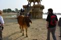 09-11-14 Lac Gadisar, Jaisalmer (4)